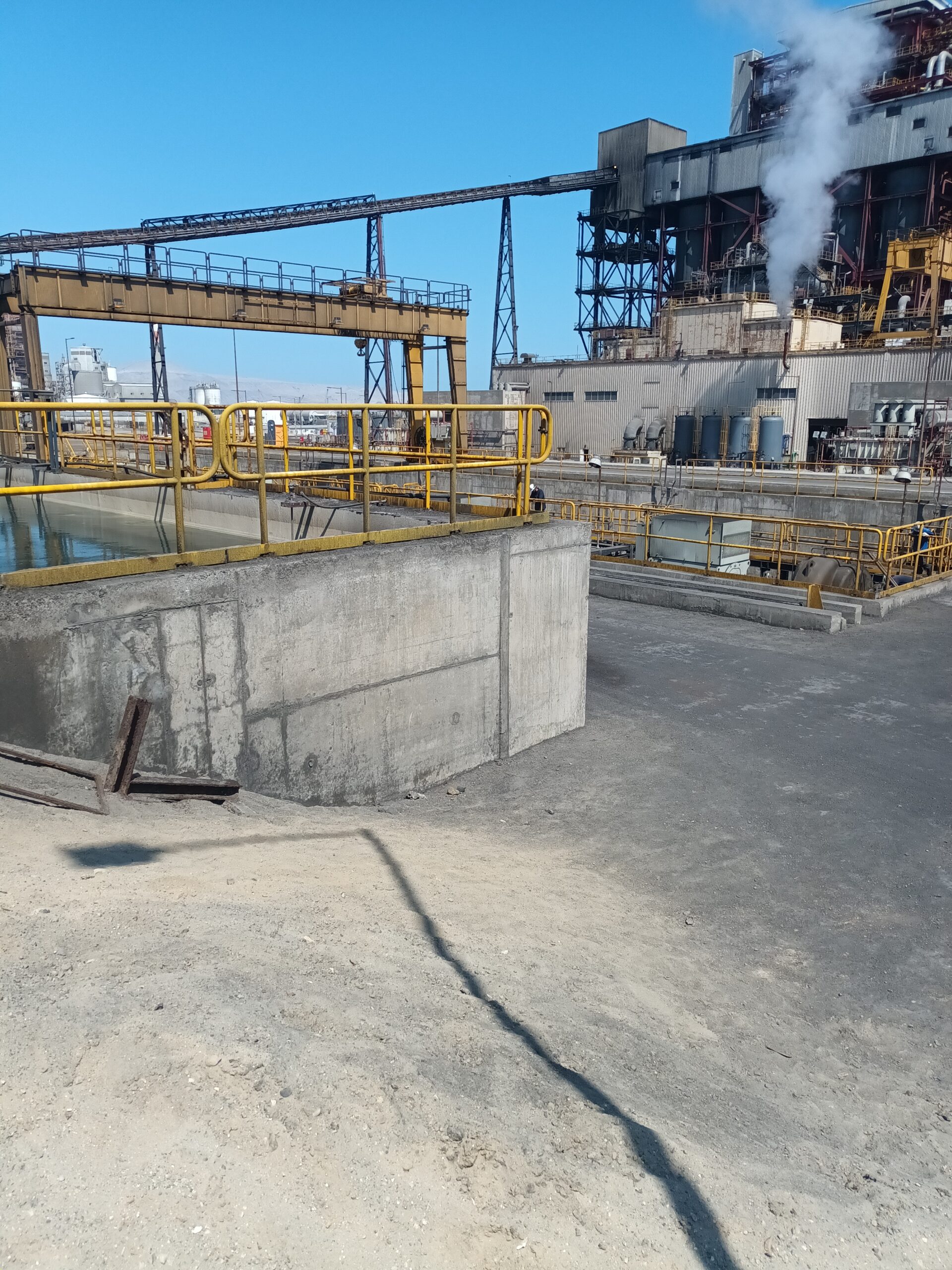 20230217_115456_1 scaled